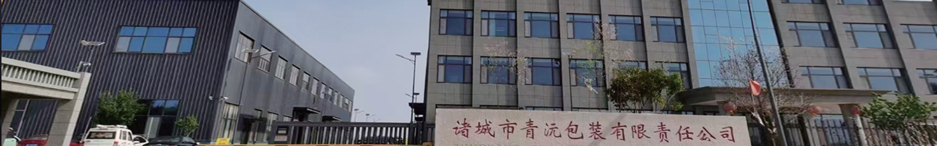 公司介绍