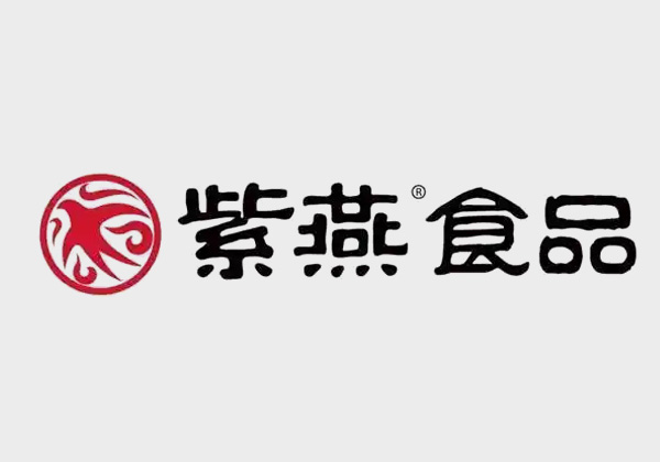 紫燕食品